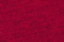 class* Raspberry