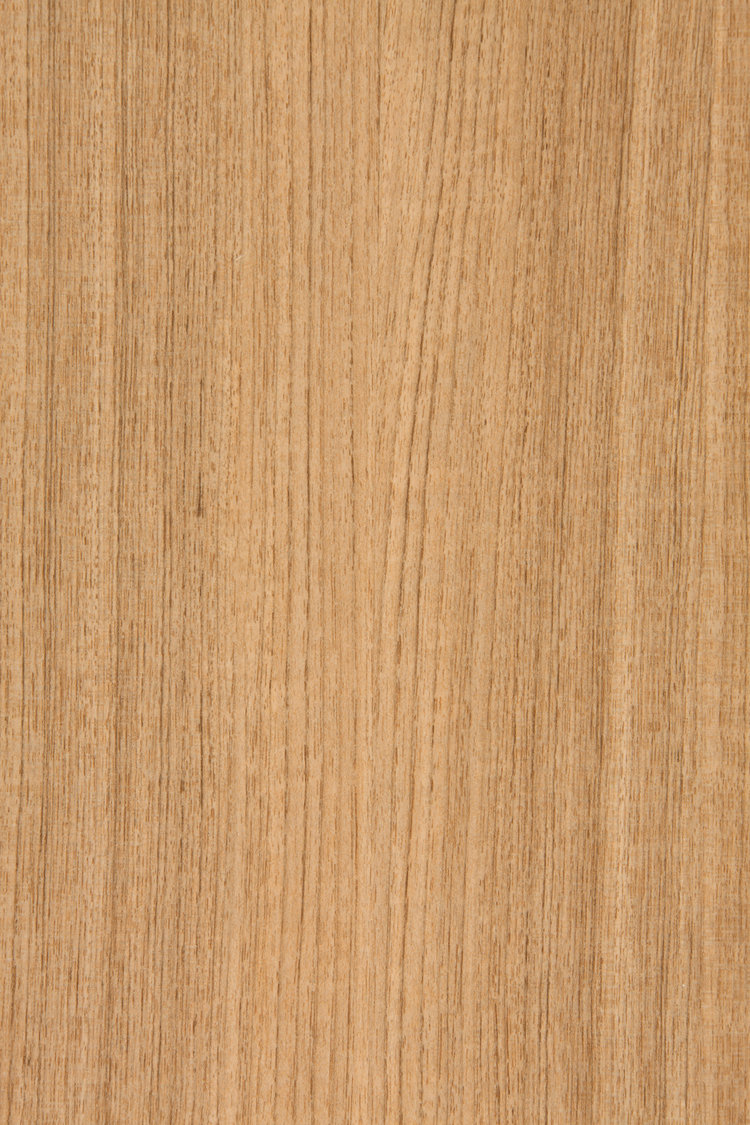 Sublime Teak