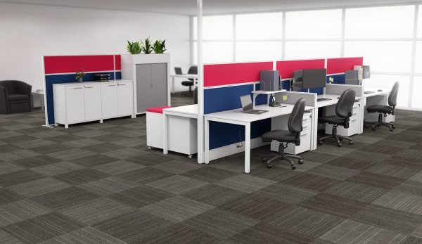 Fiesta Partitioning Screen - Image 2