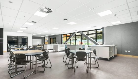 Lab & Tech 26