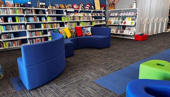 Library 13